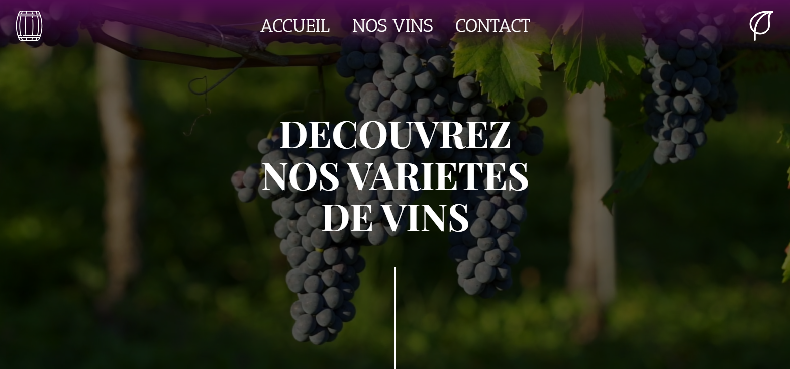 Site de Vente vins